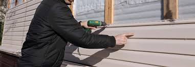 Best Vinyl Siding Installation  in Panthersville, GA